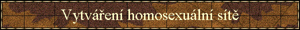 Vytv��en� homosexu�ln� s�t�